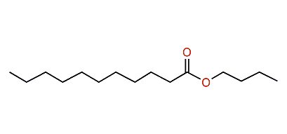 Butyl undecanoate